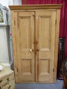 A LARGE VICTORIAN PINE HALL CUPBOARD.