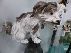 A CONTINENTAL PORCELAIN FIGURE OF A LONG HAIRED TERRIER IN THE MEISSEN STYLE. H.20cms.