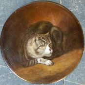 Continental School (19th Century), Portrait of a tabby cat, indistinctly signed S*****, oil on