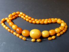 A graduated butterscotch coloured amber necklace. 80cm long, approximately 50grms