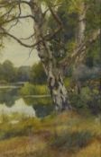 Charles Edward Wilson (1854-1941), Silver birch by a tree lined river, signed, watercolour, 48.5 x