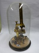 A DECORATIVE BRASS MICROSCOPE MOUNTED UNDER GLASS DOME