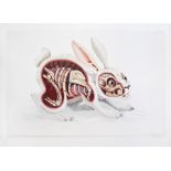 NYCHOS - ?LEPUS PELLIS OS OMENTUM