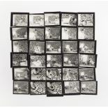 ANNIE LEIBOVITZ - KEITH HARING (CONTACT SHEET), NEW YORK CITY