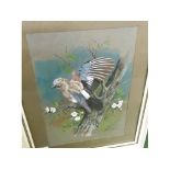 PETER R HOLMES, SIGNED AND DATED 1968 LOWER RIGHT, WATERCOLOUR, A Jay, 14" x 10"