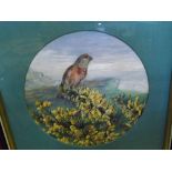INDISTINCTLY SIGNED WATERCOLOUR, Common Linnet, 11 1/2" diameter
