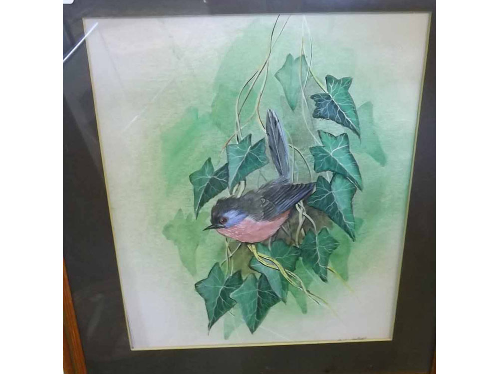 ALAN FAIRBRASS, SIGNED LOWER RIGHT, WATERCOLOUR, Warbler in Ivy, 12" x 10"