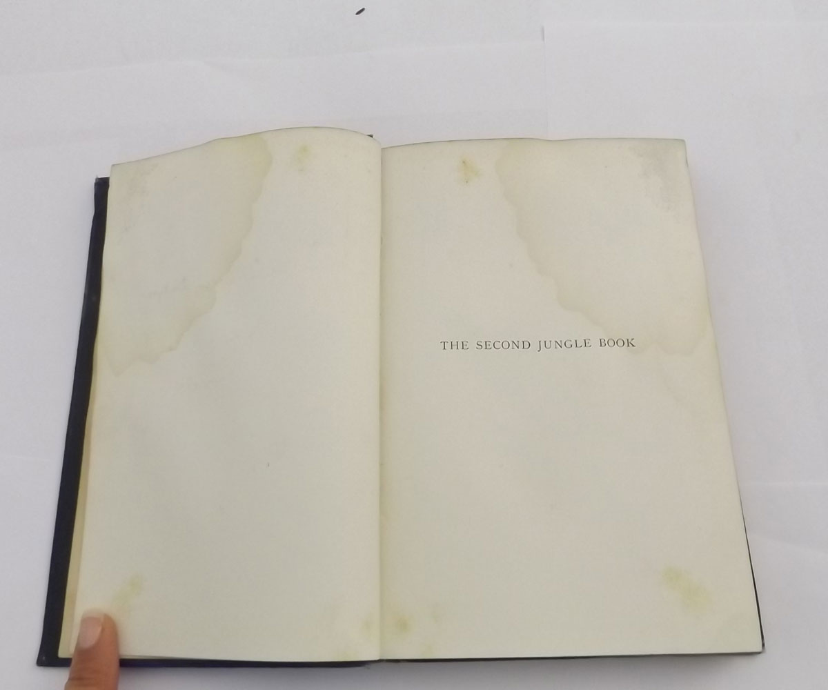 RUDYARD KIPLING, 2 TITLES: THE JUNGLE BOOK; THE SECOND JUNGLE BOOK, London 1894, 1895, 1st editions, - Image 8 of 20