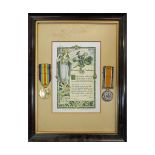 WWI pair, 44553 A M 2 D Rothwell, RAF, mounted and framed together with an appreciation