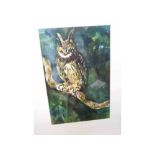 DAVID MEASURES, WATERCOLOUR, Long Eared Owl, 10 1/2" x 7"