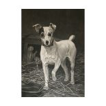 AFTER THOMAS BLINKS, "Terrier and Ferrets", proof black and white etching (published by Arthur
