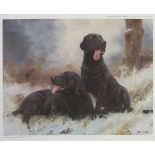 JOHN TRICKETT (CONTEMPORARY, BRITISH) Dog Studies group of four limited edition coloured prints, all