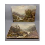INDISTINCTLY SIGNED PAIR OF OILS ON CANVAS, Alpine Landscapes, 13 1/2" x 19", unframed (2)
