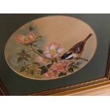 JAMES ALLEN, FRAMED OIL, Coal tit amongst briar roses, in contemporary gilt frame 5 1/2" x 7 1/2"