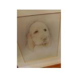 FRAMED 20TH CENTURY ENGLISH SCHOOL, Head and shoulders portrait of a lady; plus further study of a
