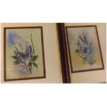 JAMES MERRIOTT, WATERCOLOUR, Purple Emperor and further watercolour, Chalk Hill Blue, both framed