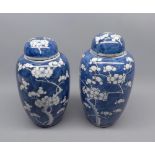 Pair of late 19th or early 20th century Chinese covered jars, decorated with prunus flowers,