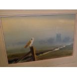 ADRIAN WINCUP, SIGNED, watercolour, Barn Owl in landscape, 8 1/2" x 13"