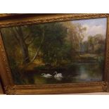 HORATIO R HOLLINGDALE, gilt framed oil on canvas, Swans on a river, 20" x 13"