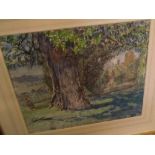 ARCHIBALD STANDISH HARTRICK, RWS, SIGNED, watercolour, Tree study, 11" x 13"