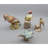 Four Royal Worcester models of birds, various sizes