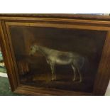 19TH CENTURY ENGLISH SCHOOL, oil on canvas, Horse in stable, bears initials CA to bucket, 20" x 24"