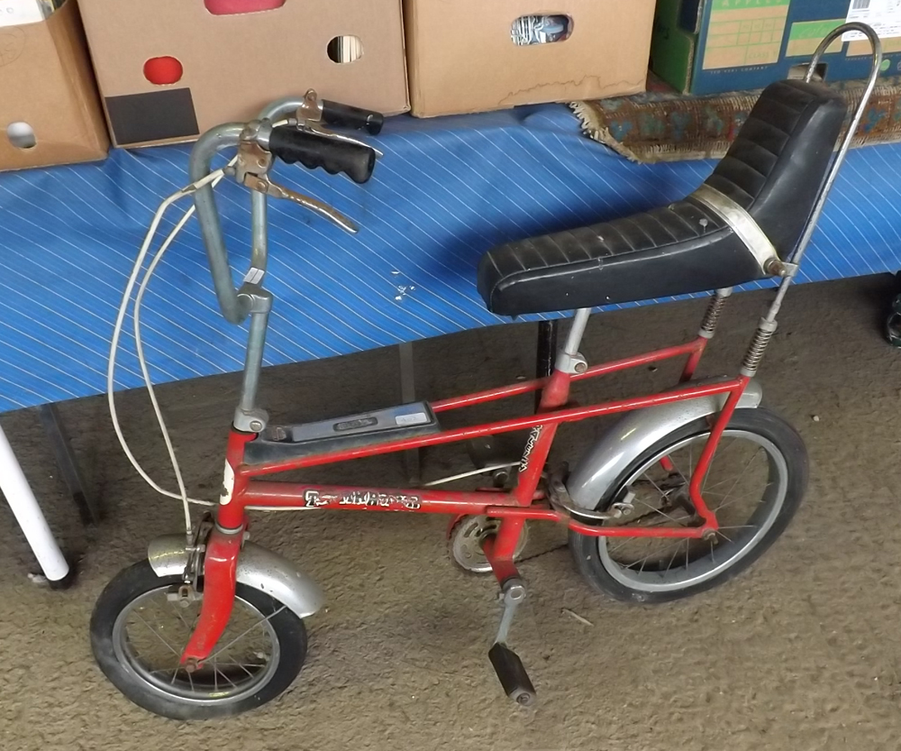 raleigh tomahawk bike