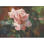 *DINA PARAVANO (BORN 1935, SOUTH AFRICAN) Still life study of roses oil on board, signed lower left