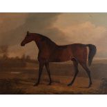 ATTRIBUTED TO JOHN BEST (1750-1801, BRITISH)Hambletonian oil on panel, inscribed with title to lower