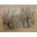 REVEREND F R D HUTTON, SIGNED, watercolour, inscribed Subiaco, 8 1/2" x 12"