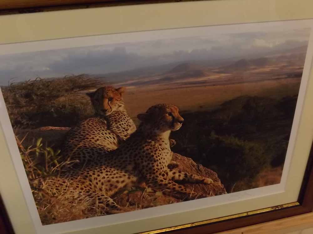 SIMON KING, signed in pencil to margin, coloured print, Two Cheetahs in a landscape, photographic