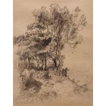 MILES EDMUND COTMAN (1810-1858, BRITISH) Tree study pencil drawing, signed and dated July 1827 lower