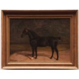 ALBERT CLARK (1821-1909, BRITISH) Horse in landscape oil on canvas, signed lower left 11 x 15 ins