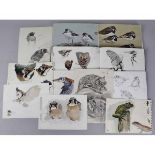 PACKET ASSORTED PENCIL AND WATERCOLOUR mainly natural history sketches in three sketchbooks and
