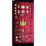 Wall cabinet containing an assembly of some 46 Livery and Military badges and metalled horse