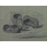 Jane Worship (19th Century, British), Fish baskets by rocks, pencil drawing, initialled JW and dated