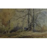 James Fletcher Watson, RI, RBA, (1913 - 2004, British), "Trees near Wymondham", watercolour,