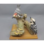Resin model of two woodpeckers, on a tree trunk
