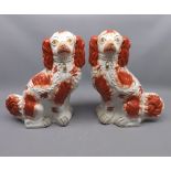 Pair of Staffordshire liver and white spaniels