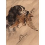 L W FRASER (20TH CENTURY, BRITISH) Spaniel Head Studies group of three pastels, all signed