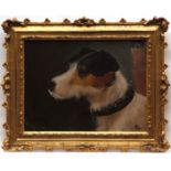 ENGLISH SCHOOL (19TH CENTURY) "Trim - a terrier" oil on board, indistinctly monogrammed and dated 91