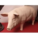 Unusual late 20th century composition garden study of a pig, naturalistically decorated, 19 3/4"