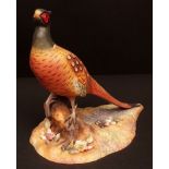 Royal Crown Derby modern model of a cock pheasant, naturalistically painted in colours, 12" high