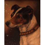 ENGLISH SCHOOL (19TH CENTURY) "Master Brandy - a terrier" oil on board 9 x 7 ins