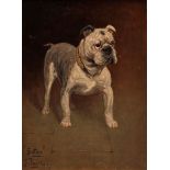 GEORGE PAICE (1854-1925, BRITISH) "Satan - bulldog" oil on canvas, signed, dated 07 and inscribed