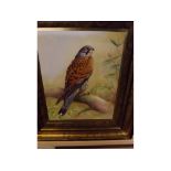 *Michael Bates (20th Century, British), Kestrel, ceramic plaque, for Caverswall Fine Bone China,