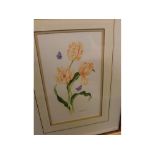 Bridget James, two contemporary framed pictures, Tulips and Holly Blue Butterflies, and