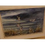 Mixed Lot: Oswald E Brown, framed watercolour study, Shelduck alighting, together with a further