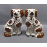 Pair of 19th century Staffordshire lustre finish model spaniels, 9 1/2" high