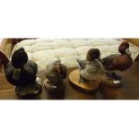 Taxidermy uncased group of four Teal and family of Tufted Ducks (4)